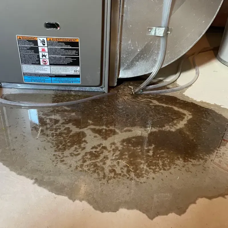 Appliance Leak Cleanup in Clark County, IN